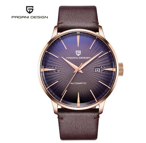 PAGANI DESIGN Men's Genuine Leather Automatic Watch