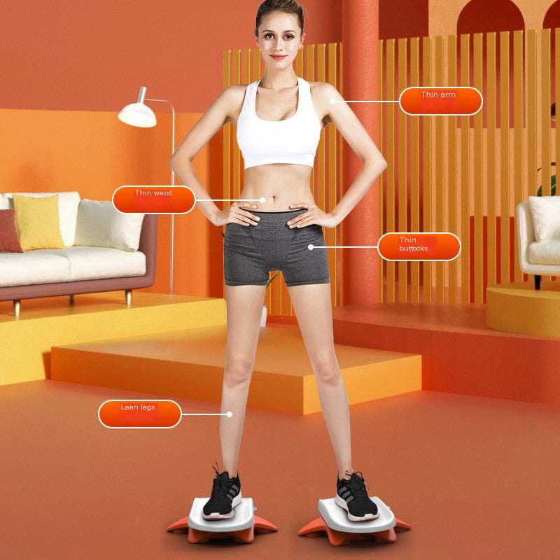 Silent Home Waist Trimmer Split Waist Twisting Machine